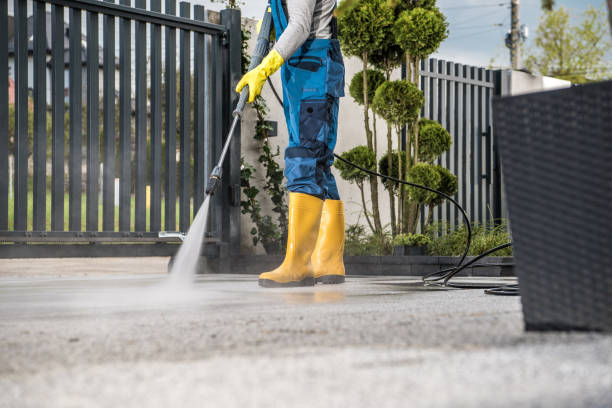 Best Dumpster Area Cleaning  in Silver Lake, FL